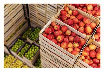 Various Fruit Stacked in Crates